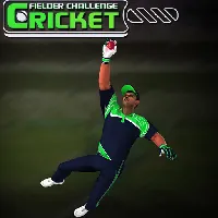 Cricket Fielder Challenge Game - Game Nora