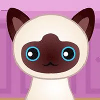 Guess The Kitty - Game Nora